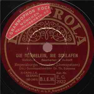 Regensburger Domchor (Domspatzen) - Die Blümlein, Sie Schlafen / Kommt Ein Vogel Geflogen / Ein Jäger Aus Kurpfalz mp3 album