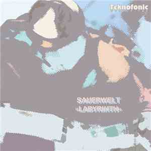 Sauerwelt - Labyrinth mp3 album