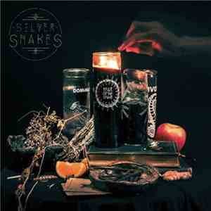 Silver Snakes - Year Of The Snake mp3 album