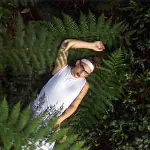 Simona Castricum - Triumph mp3 album