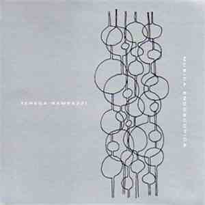 Teresa Rampazzi - Musica Endoscopica mp3 album