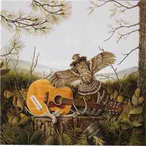 The Dandy Warhols - This Machine mp3 album