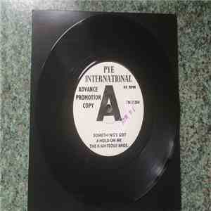 The Righteous Brothers - Something's Got A Hold On Me mp3 album