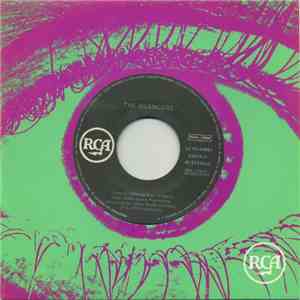The Silencers - This Is Serious mp3 album
