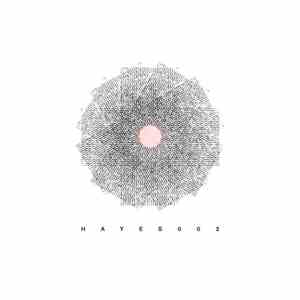 Various - HYS 002 mp3 album