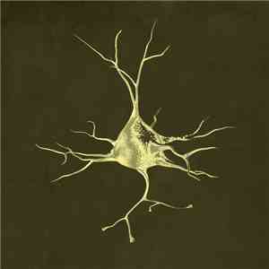 X=18 - Fragmentary / Illusionary mp3 album